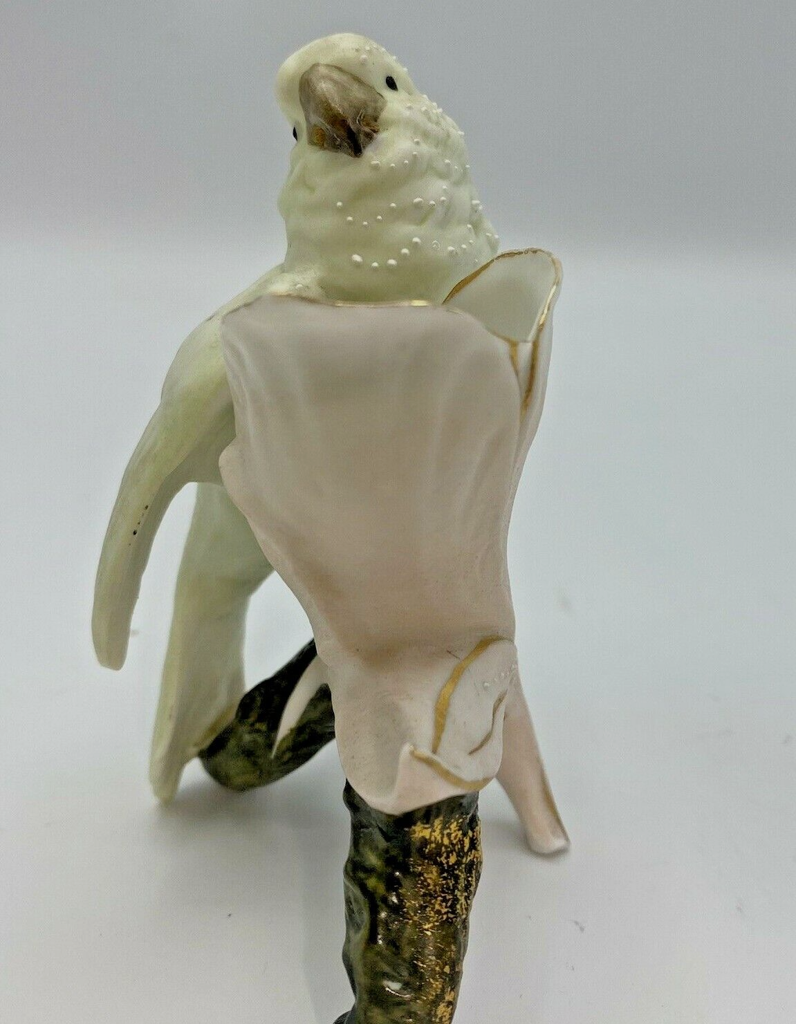 Picture 6 of 8