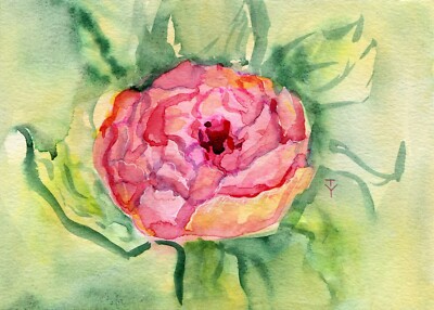 Watercolor painting ORIGINAL art Peony wall art Flower floral peonies 5x7''
