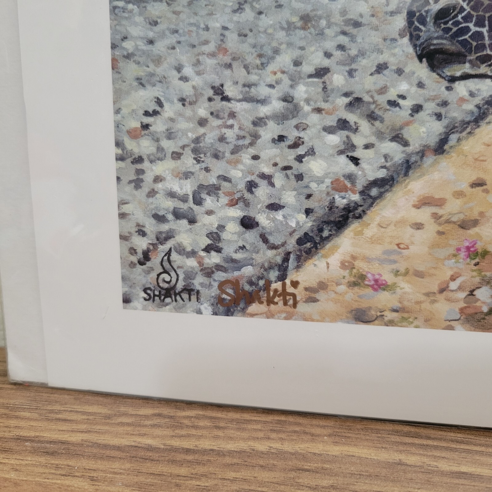 Picture 2 of 3