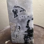 4.5” Tree Agate Tower Peace Stability #139 — photo 6