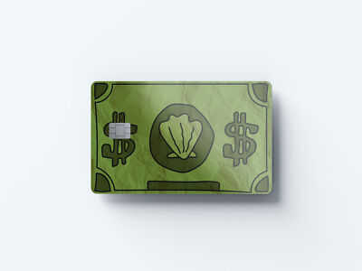 Bikinihose Dollar Design | Kreditkartenaufkleber | kleiner Chip | Kreditkarte Ski