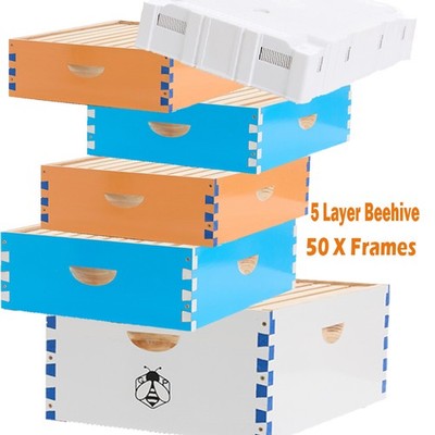 Langstroth beehive kit-50 frames 10 deep 40 medium-sized beehives for beekeeping