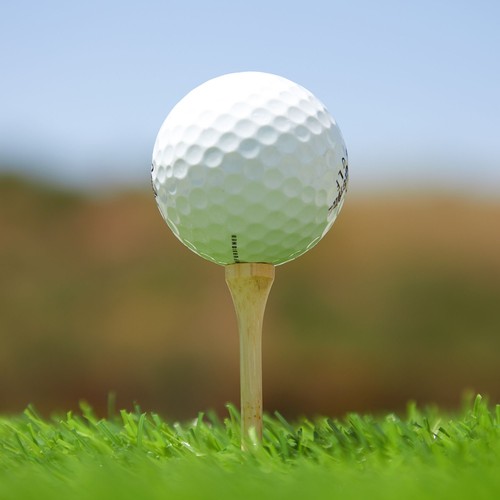 300 Pack Bamboo Golf Tees in Bulk (2 3/4 inch, Natural Wood Color) - Picture 3 of 10