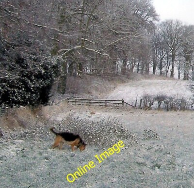 Foto 6x4 Frozen Fields Rock\/NU2020 Ein sehr kalter Tag zum Hundespaziergang. In c2005