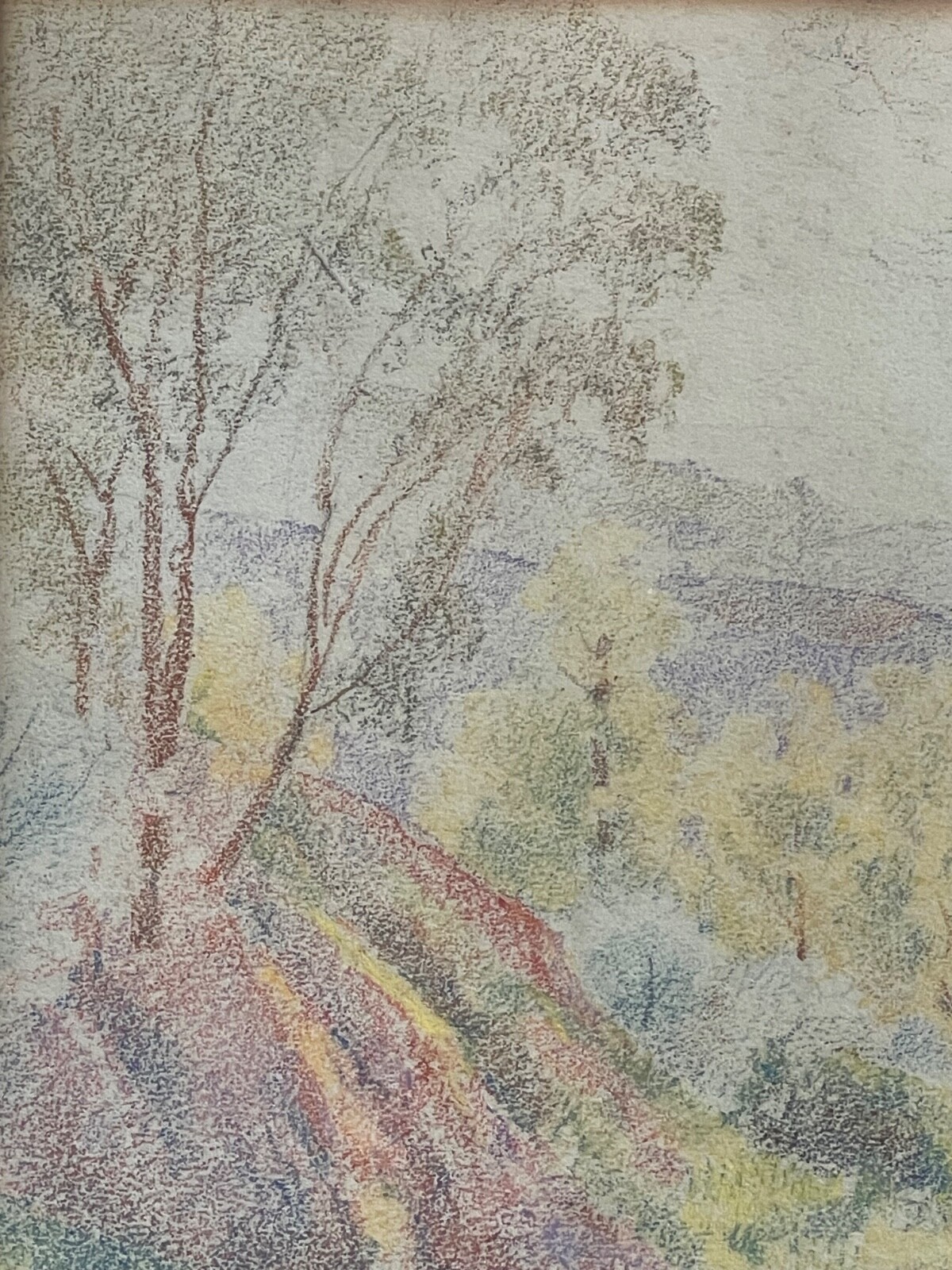 Picture 7 of 16