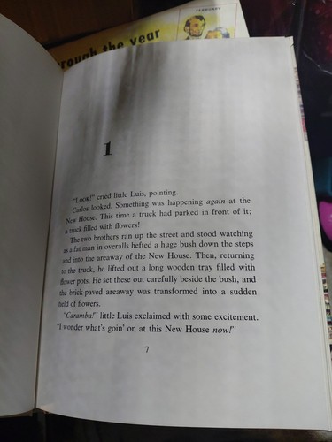 THE STREET OF FLOWERBOXES PEGGY MANN HARDCOVER BOOK 1966 - Picture 11 of 12