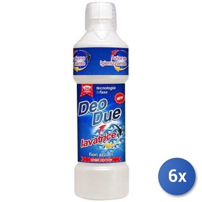 6x Konvolut Deo Due Waschmaschine 1 kg - Duft blaue Blumen