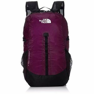 the north face flyweight backpack