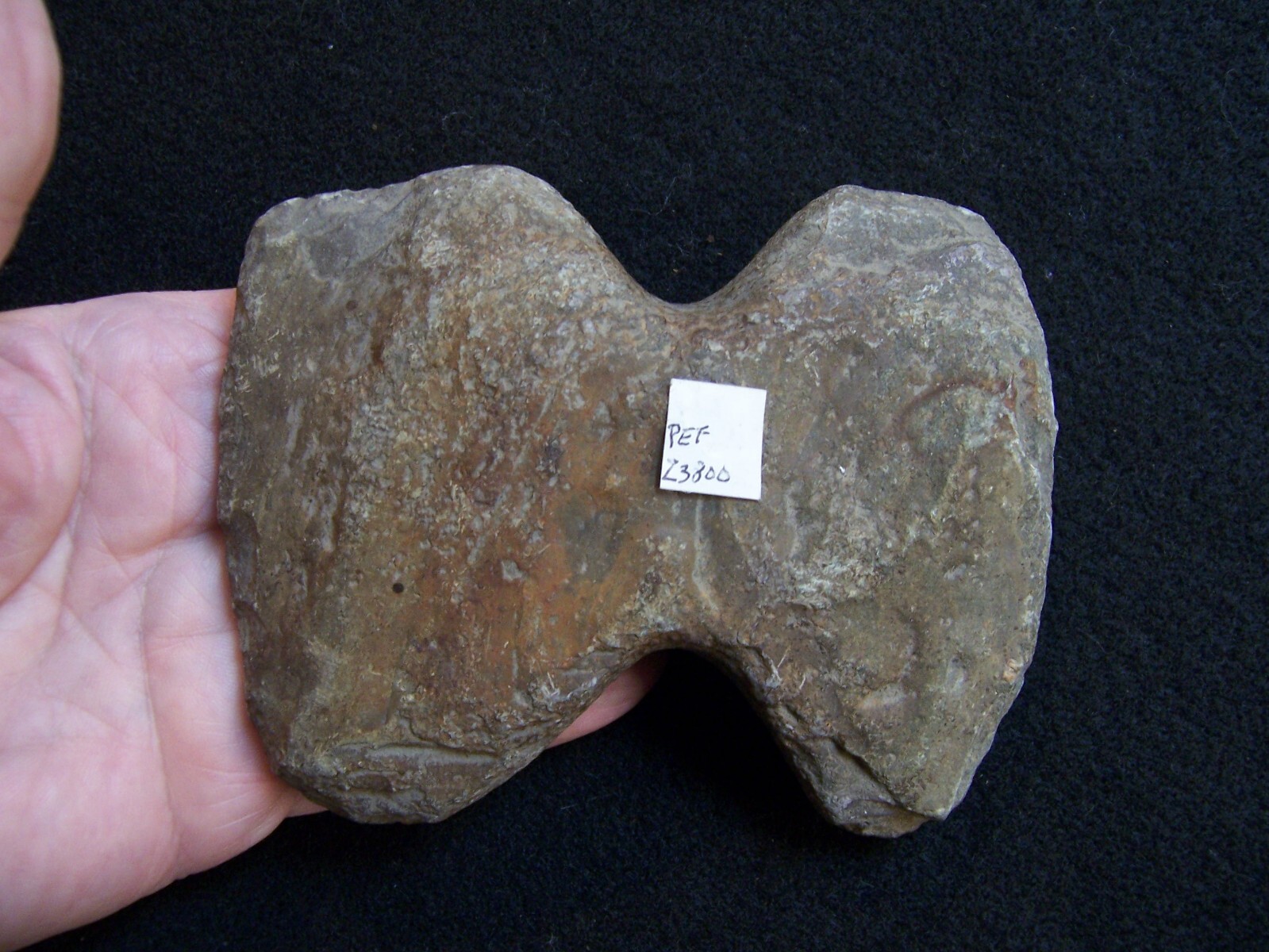 AUTHENTIC WINGED BANNERSTONE PREFORM KANKAKEE CO, ILL TERRY SCHULTZ COLLECTION eBay