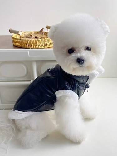 Chaqueta de cuero Fart Dog invierno caliente Chihuahua cachorros Reino Unido chaqueta de cuero 18 - Imagen 15 de 19