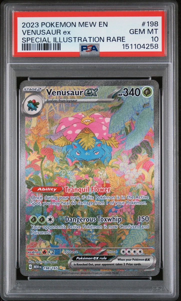 Venusaur Pokmon TCG Grade 10 Rare Individual Collectible Card Game Cards for sale | eBay Venusaur Pokmon TCG Grade 10 Rare Individual Collectible Card Game Cards for sale | eBay