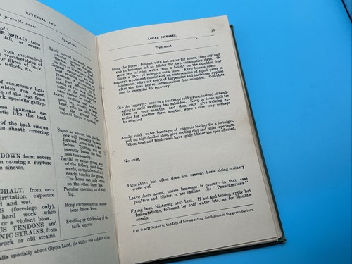 Indian Horse Notes An Epitome Of Useful Information 1906 - Picture 12 of 17