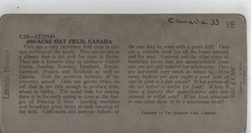 480 Acre Haferfeld Saskatchewan Kanada Keystone Stereoansicht um 1920 - Bild 3 von 4