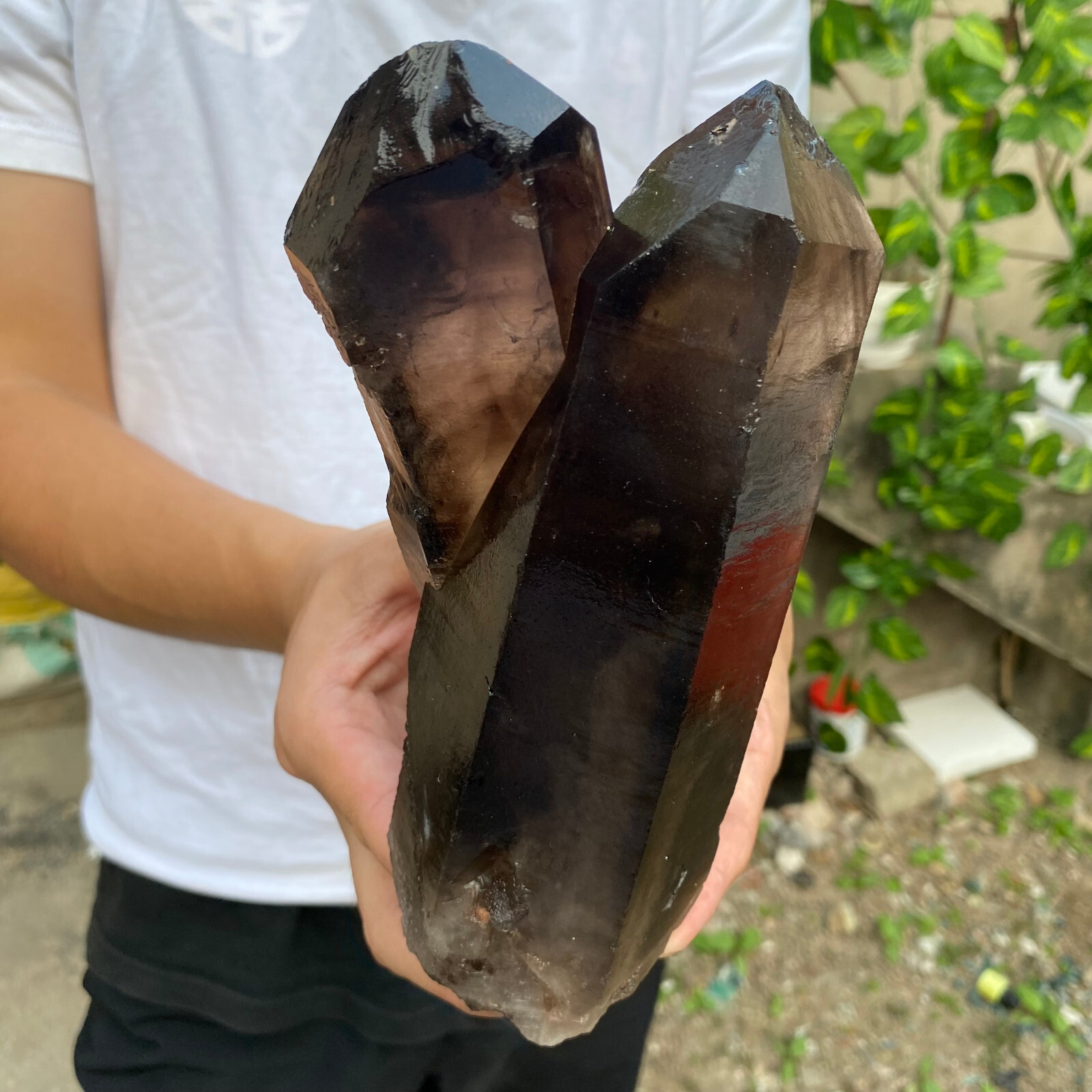3.5LB Smoky Black Quartz Crystal Cluster Natural Healing Mineral Specimen