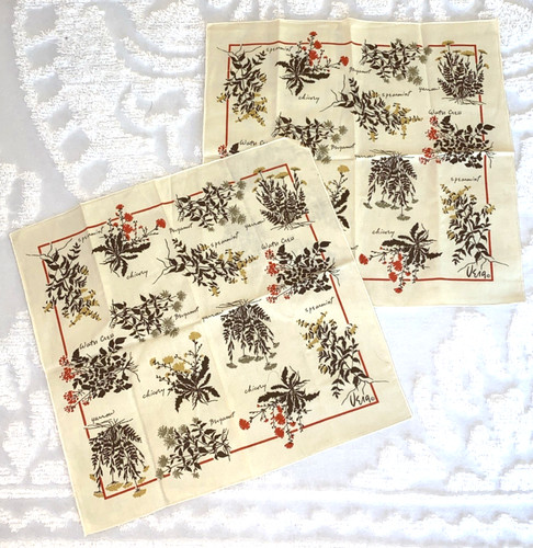 Set of 2 ~ Vintage VERA NEUMANN Cloth Napkins ~ Herbs & Spices Botanicals ~ 16in