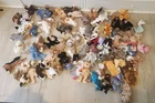 Vtg large large lot of rare beanie babies mint condition With Tags