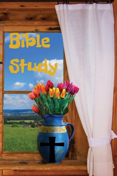 Denise N Lawless | Bible Study Notes | Taschenbuch | Englisch (2023)-image
