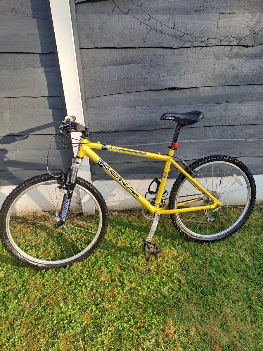 1999 Kona Nunu 18