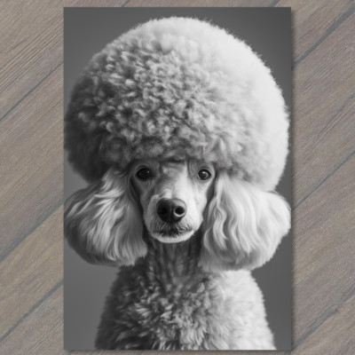 STICKER  Poodle White Gray Round  Fluffy Fur Detailed Portrait Cute Fun