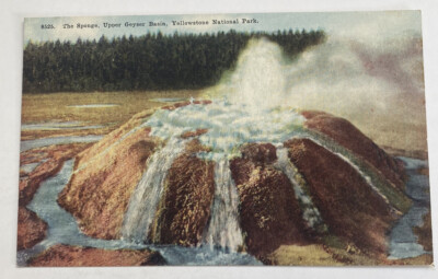 #ad #ad Vintage Postcard Sponge Upper Geyser Yellowstone National Park Wyoming WY $1.56