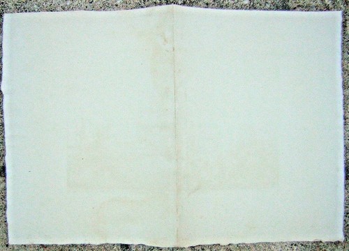 eau forte octave de rochebrune 1863 UNE BOURRINE DANS LES MARAIS LONGEVILLE 85 - Photo 3/3