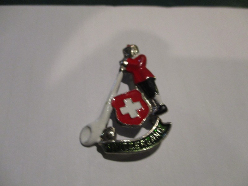 VINTAGE SWITZERLAND MOUNTAINEERING PIN