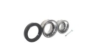 Radlagersatz Hinten SKF Vkba 504 FÜR Ford