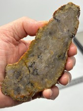Coprolite Petrified Dino DoDo Slab Cabbing Lapidary Utah Combo Ship Avail