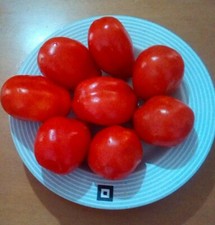 25 semi pomodoro scatolone delle tre principesse ( semi italiani bío. )