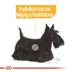 Bild 2 von 9