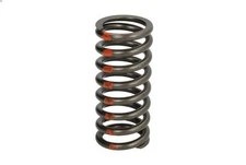 Valve Spring IPD PARTS 2479908-IPD