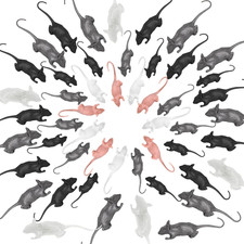 50 Pcs Mini Fake Mouse, Halloween Realistic Mice Prank Plastic Mice Toys Smal...