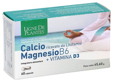Ligne De Plantes Calcium + Magnesium B6 + Vitamin D3 NahrungsergÃ¤nzungsmittel 6