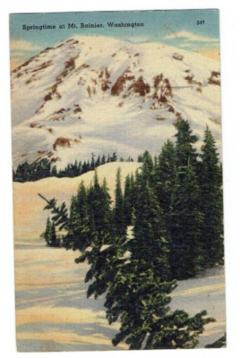 Springtime at Mt Rainer Washington WA Linen Postcard Alta Vista Posted