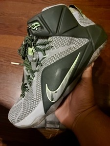 new lebron 12