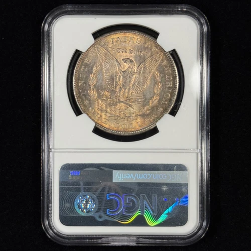 1902 $1 MS64 NGC Toned Morgan Silver Dollar - Unique Toning Pattern - Nice Coin