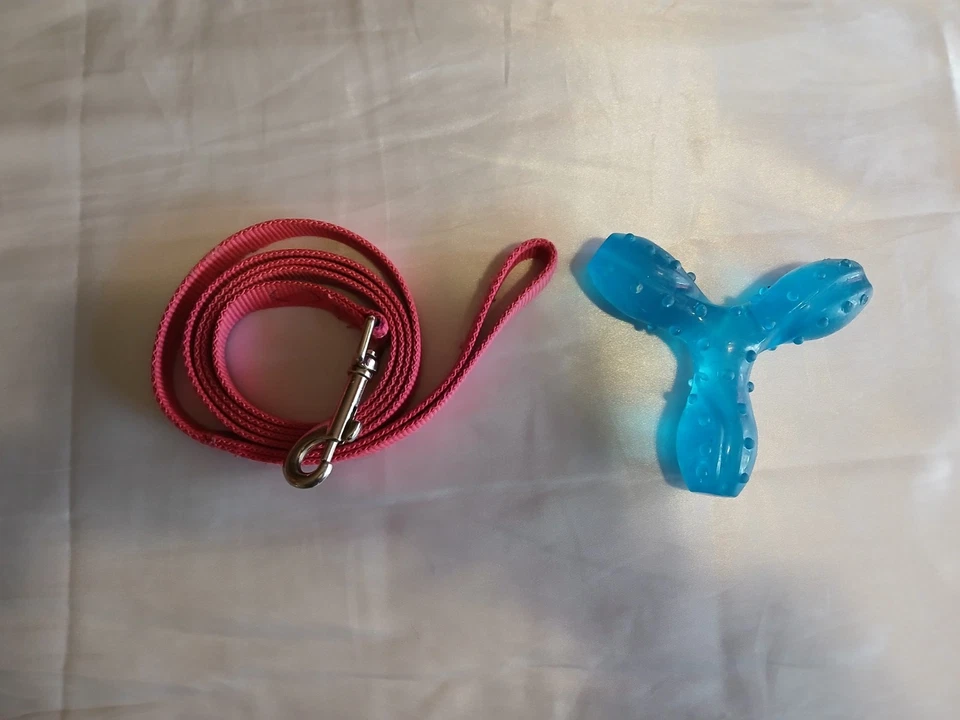 Pink Dog Leash With Blue Chew Toy For Chewers For Small Medium Dogs Dog Toy - Image 2 of 4