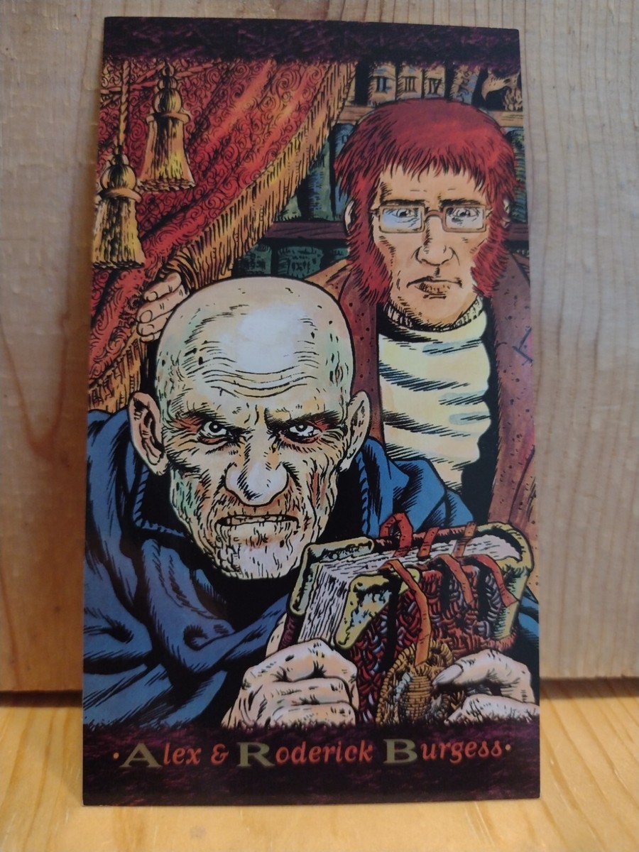SANDMAN. #71. ALEX & RODERICK BURGESS 1994 SKYBOX TRADING CARD MC3