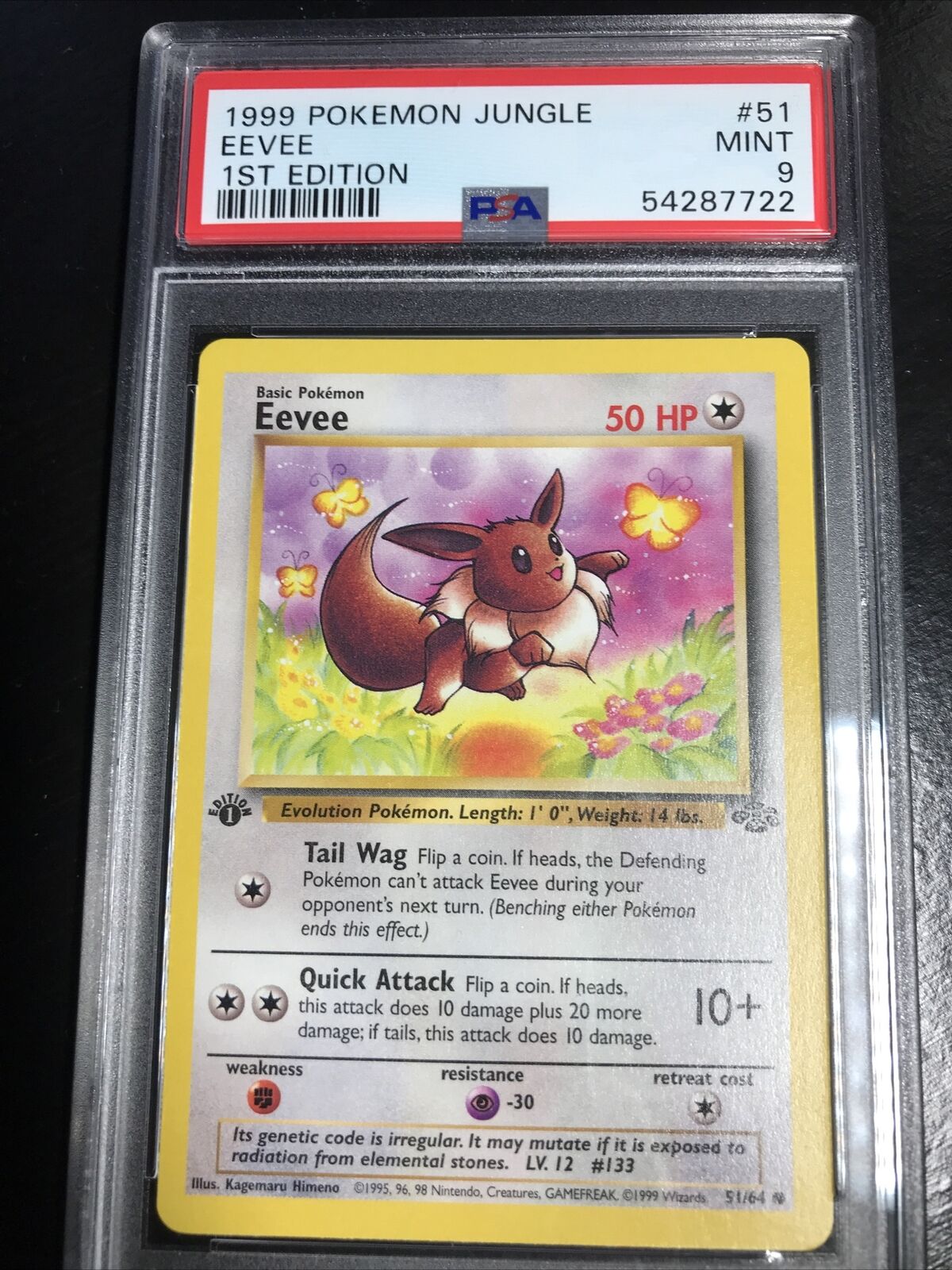 Pokemon Card - Jungle 51/64 - EEVEE (common):  - Toys, Plush,  Trading Cards, Action Figures & Games online retail store shop sale