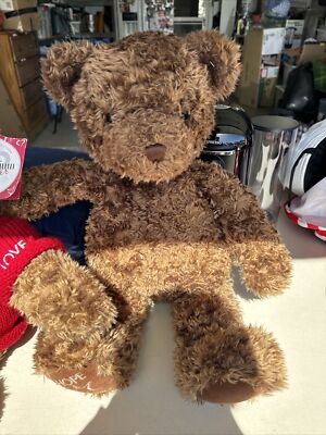 Gund Millenium Bear Plush Limited Edition Heart 2000 Stuffed Animal Filenes 24''