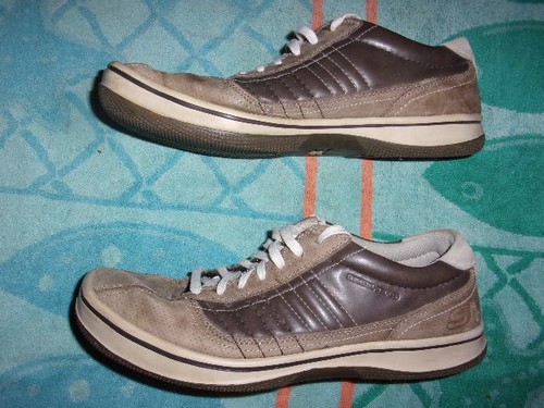 skechers shoes brand information