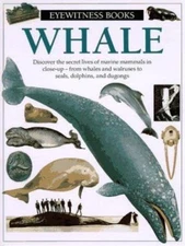 Whale (Eyewitness) by Vasilli Papastavrou