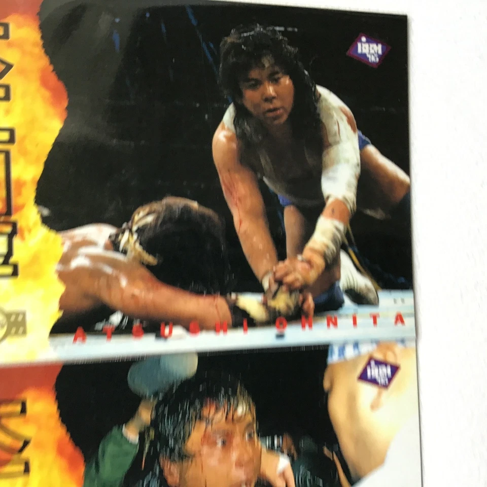 Juego de 5 tarjetas de lucha libre BBM 1996 Terry Funk Hayabusa Atsushi Onita Deathmatch Foto 3 de 4