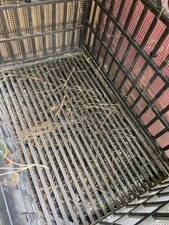 Dog Small Animal Heavy Duty Top Hinged Steel Kennel. 44  Hx30  Wx45  L