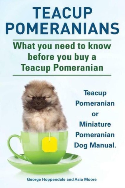 micro teacup pomeranian puppies for sale ebay