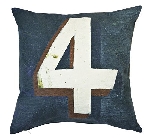 Daycollection Home Office HOOFACCA4 - Cuscino in cotone, 40 x 40 x 10 cm, (H5V)