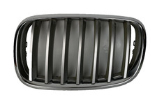 Calandre BMW X5
