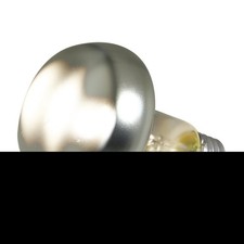 Zoo Med Repti Basking Spot Lamp Replacement Bulb 100 Watts - Pack of 3