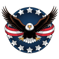 3 inch Patriotic Bald Eagle American Flag Circle Vinyl Sticker Decal USA