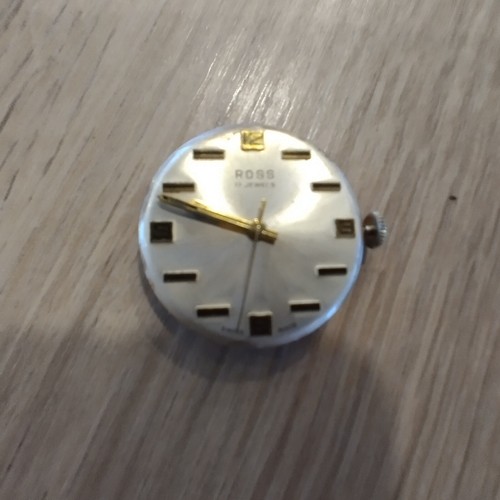 Orologio da polso Ross 17 jewel movimento non regolato quadrante funzionante diametro 30,2mm mech 26,6 - Foto 3 di 9